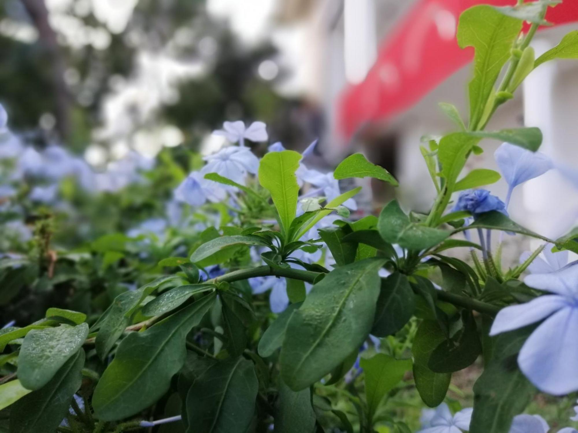 B&B Sa Scraria Meana Sardo Dış mekan fotoğraf